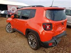 جيب رينيجيد